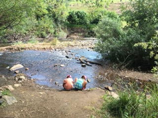 tn9d9-small tn9d9-small